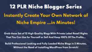 Read more about the article 12 Bundle Niche Blogs Free Download