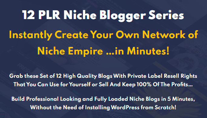You are currently viewing 12 Bundle Niche Blogs Free Download