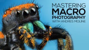 Read more about the article [SUPER HOT SHARE] Andres Moline – Fstoppers – Mastering Macro Photography Download