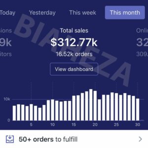 Read more about the article Biaheza – Full Dropshipping Course 2022 Download