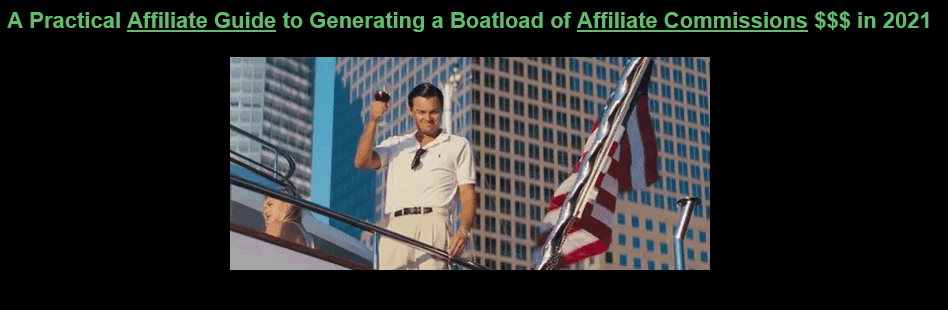 You are currently viewing Copy-Paste Affiliate Profits: How a Simple 1-page Website Made me $3,000+ P/M Free Download