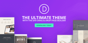 Read more about the article Divi – The Ultimate WordPress Theme and Visual Page Builder Plus Layouts & Plugins Free Download
