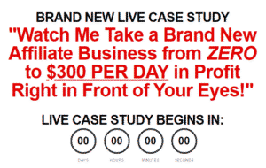 Read more about the article Duston McGroarty – The Zero to $300/Day Live Case Study Download
