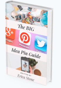 Read more about the article Erica Stone – The Big Idea Pin Guide Download