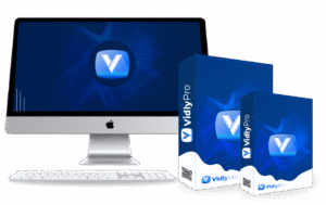 Read more about the article Goodluck Efe – VidlyPro Free Download