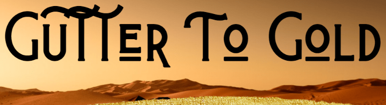 You are currently viewing [GET] Gutter To Gold + OTO’s Download