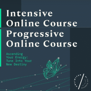 Read more about the article Joe Dispenza – Progressive and Intensive Online Course Bundle Download