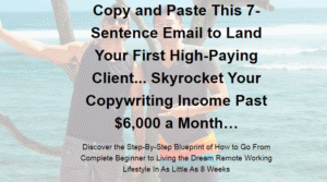 Read more about the article [SUPER HOT SHARE] Ning Li & Austin Lee – Zero to $6K Download