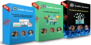 Read more about the article OMG Machines – Definitive Traffic Tsunami – DC2021 Update 1 Download