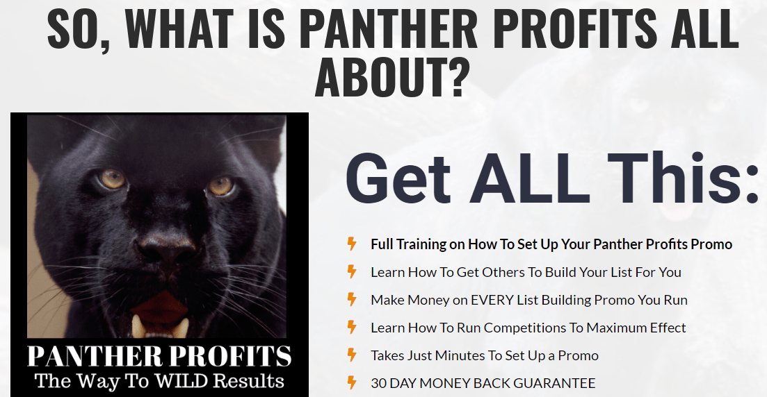 You are currently viewing [GET] Panther Profits – Launch Date 2019-Dec-17 Download