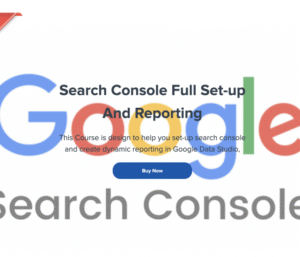 Read more about the article Paul Lovell – Search Console Full Set-up And Reporting Download