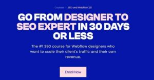Read more about the article Payton Clark Smith – SEO and Webflow 2.0 Download