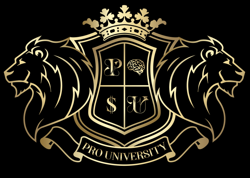 You are currently viewing Philipe Reis – Youtuber Pro University Download