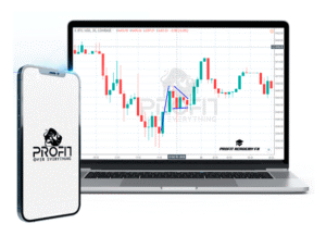 Read more about the article Profit Academy FX Download