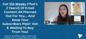 Read more about the article [SUPER HOT SHARE] Raelyn Tan – Happy Subscribers Toolkit Download