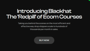 Read more about the article Soulja & Franky – The Blackhat Course Download