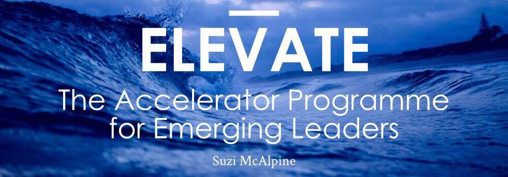 You are currently viewing [GET] Suzi McAlpine – Elevate – The Accelerator Program For Emerging Leaders Free Download