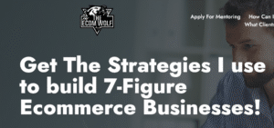 Read more about the article The Ecom Wolf Pack – Dropshipping To Branding Course Download