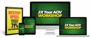 Read more about the article Todd Brown – 2X Your AOV Virtual Workshop Download
