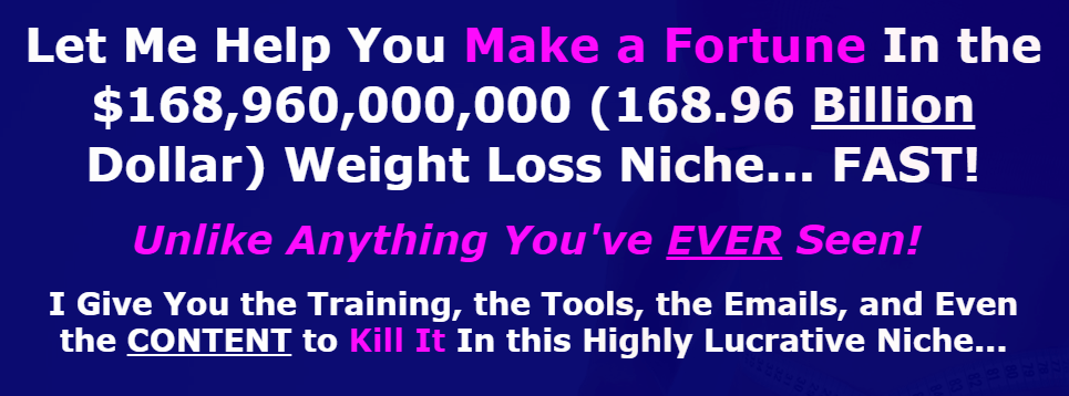 You are currently viewing [GET] Weight Loss Niche Domination Download