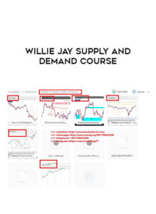 Read more about the article Willy Jay – Supply and Demand Download