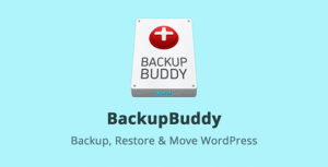 Read more about the article iThemes BackupBuddy WordPress Plugin Free Download